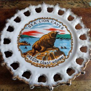 Collectable Retro Vintage Travel 1960's Sea Lion Caves Oregon Coast